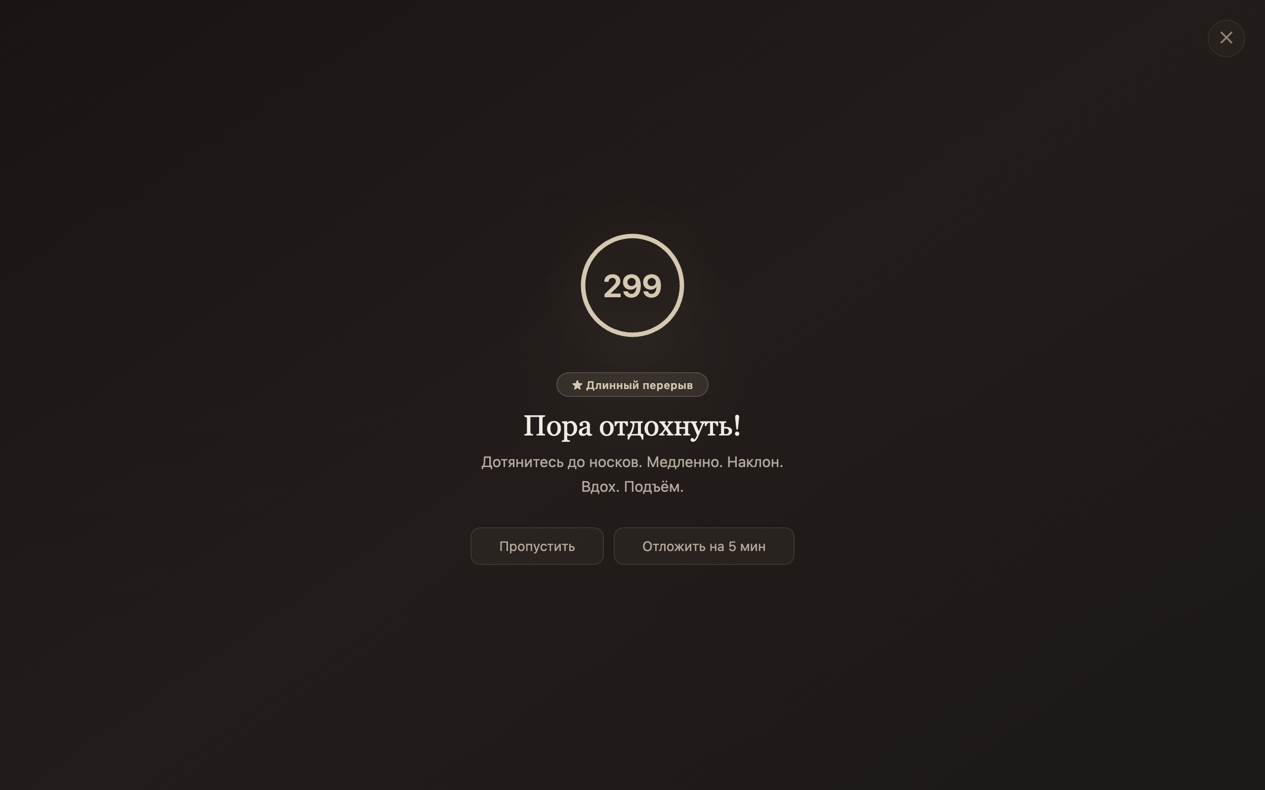 Экран длинного перерыва: отсчёт 300 секунд и метка «Длинный перерыв».